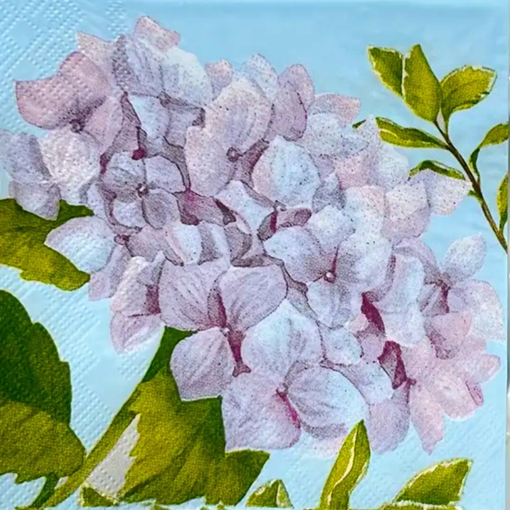 Hydrangea Cocktail Beverage Paper Napkins, 20 ct
